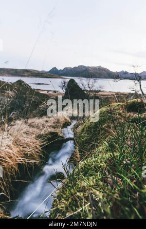 Bach zum Meer, Fjordlandschaft im Herbst in Vesteralen, Norwegen, nordische Küstenlandschaft mit Gräsern, Meer, Bach, Moor, Bergen, Lange Belichtung Stockfoto