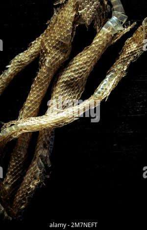 Nahaufnahme einer getrockneten Schlangenhaut Stockfoto