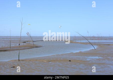 Priel, Groynes in den Schlammgebieten bei Ebbe, Wremen, Niedersachsen, Deutschland, Europa Stockfoto