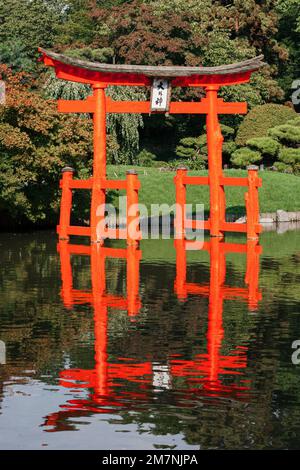 Das hölzerne rot-orange Torii im Teich des japanischen Gartens im Brooklyn Botanic Garden Stockfoto