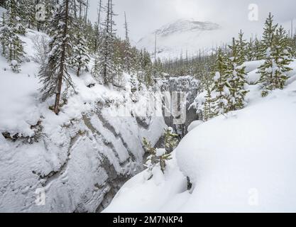 Schneebedeckter Marble Canyon im Kootenay National Park, British Columbia, Kanada Stockfoto