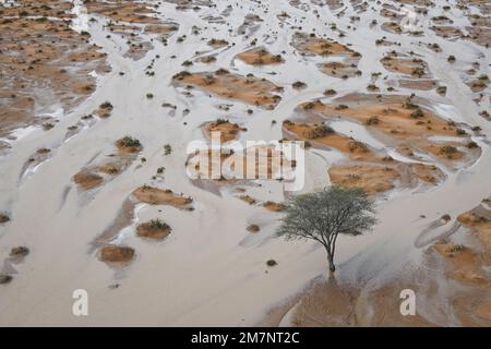 Haradh, Saudi-Arabien - 10. Januar 2023, Illustration während der Phase 9 des Dakar 2023 zwischen Riad und Haradh, am 10. Januar 2023 in Haradh, Saudi-Arabien - Foto: Eric Vargiolu/DPPI/LiveMedia Stockfoto