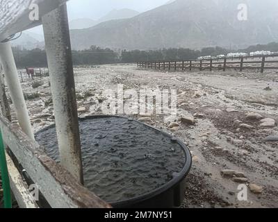 Santa Barbara, Kalifornien, USA. 9. Januar 2023. Überschwemmungen im Los Padres National Forest in Santa Barbara auf der Rancho Oso Horse Ranch. Starker Regen verursacht Überschwemmungen in Teilen Kaliforniens. (Kreditbild: © Amy Katz/ZUMA Press Wire) NUR REDAKTIONELLE VERWENDUNG! Nicht für den kommerziellen GEBRAUCH! Stockfoto