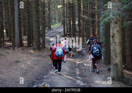 KARPATEN, UKRAINE - 8. OKTOBER 2022 Mount Hoverla. Karpaten in der Ukraine im Herbst. Touristen wandern durch Hügel und Wälder bis zum Gipfel des Hoverla Berges Stockfoto