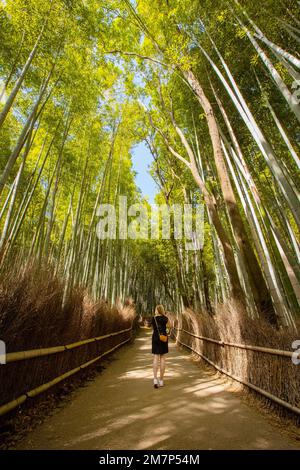 Eine Frau, die inmitten von Bambuspflanzen im Wald steht Stockfoto