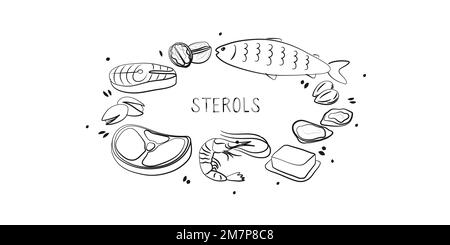 Sterolhaltige Lebensmittel. Gruppen von gesunden Produkten, die Vitamine und Mineralien enthalten. Obst, Gemüse, Fleisch, Fisch und Milchprodukte. Stock Vektor