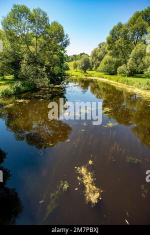 Lac Dow, Ottawa, Ontario, Kanada Stockfoto