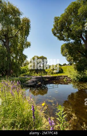 Lac Dow, Ottawa, Ontario, Kanada Stockfoto