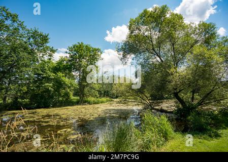 Lac Dow, Ottawa, Ontario, Kanada Stockfoto