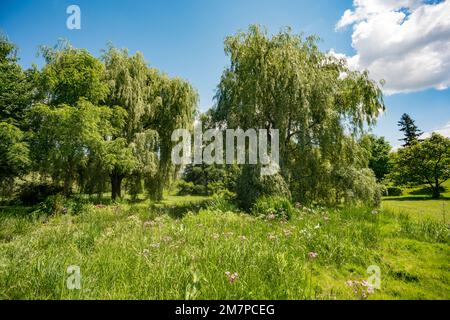 Lac Dow, Ottawa, Ontario, Kanada Stockfoto