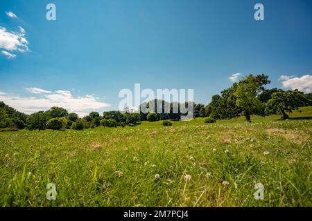 Lac Dow, Ottawa, Ontario, Kanada Stockfoto