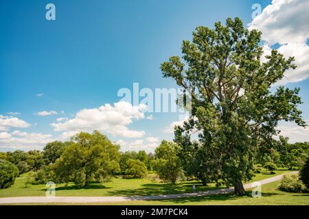 Lac Dow, Ottawa, Ontario, Kanada Stockfoto