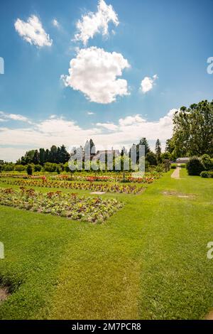 Arboretum, Dow's Lake, Ottawa, Ontario, Kanada Stockfoto