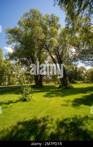 Lac Dow, Ottawa, Ontario, Kanada Stockfoto