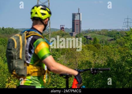 Blick auf den Nordsternpark vom Brammentrail, Mountainbike-Pfad auf der Schurenbach-Slagheap in Essen NRW, Deutschland, Stockfoto