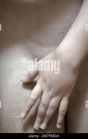 antike römische Statuen in der permanenten Ausstellung im Palazzo Gristi Museum, Venedig Stockfoto