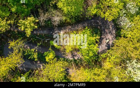 Auf dem Brammentrail, Mountainbike-Pfad auf der Schlackenhütte Schurenbach, Essen NRW, Deutschland, Stockfoto