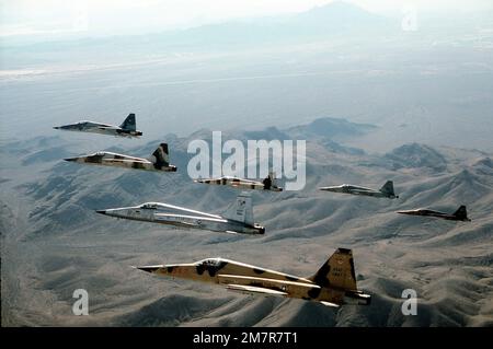 Eine Luft-Luft-Ansicht von links auf eine sieben-Schiff-Keilformation des F-5E Tiger II Flugzeugs aus dem 57. Kampfwaffenflügel über einer Wüste. Die Flugzeuge haben unterschiedliche Tarnlackierungen. Staat: Nevada (NV) Land: Vereinigte Staaten von Amerika (USA) Stockfoto