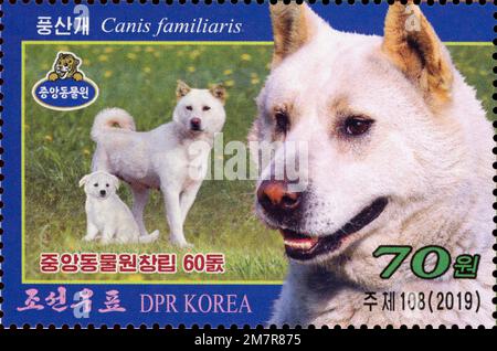 2019 Nordkorea-Stempelserie. 60. Jahre Zentralzoo Korea, Pjöngjang. Hund, Canis familiaris Stockfoto