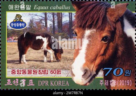 2019 Nordkorea-Stempelserie. 60. Jahre Zentralzoo Korea, Pjöngjang. Pferd, Equus Caballus Stockfoto