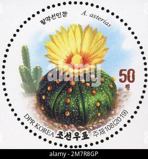 2019 Nordkorea-Stempelserie. Blühende Kakteen. Astrophytum asterias Stockfoto