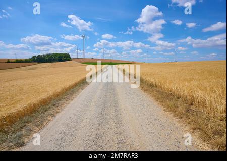 Feldweg mit Gerstenfeld und Windturbinen im Sommer, Würzburg, Franken, Bayern Stockfoto