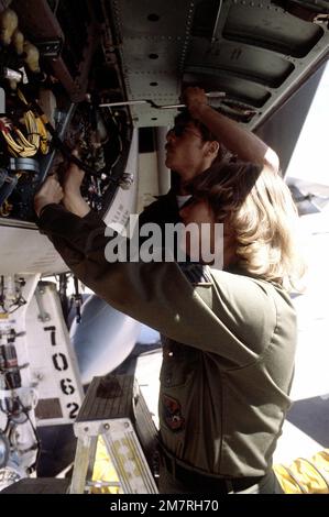 SSGT Karen Forsythe und AMN Steve Miles führen Wartungsarbeiten an einem System eines F-15 Eagle-Flugzeugs während der Übung Border Star 81 durch. Betreff Operation/Serie: GRENZSTERN '81 Stützpunkt: Luftwaffenstützpunkt Holloman Bundesstaat: New Mexico (NM) Land: Vereinigte Staaten von Amerika (USA) Stockfoto