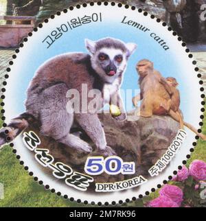 2017 Nordkorea stam Set. Pjöngjang Central ZOO. Affenhaus, Ringschwanz-Lemur, Lemur catta Stockfoto