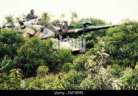 Ein getarnter M-60-Hauptkampfpanzer versteckt sich in White Beach während eines Tests des Marine Corps Combat Readiness Evaluation System (MCCRES) im Unterholz. Basis: Marine Corps Basislager Pendleton Bundesstaat: Kalifornien (CA) Land: Vereinigte Staaten von Amerika (USA) Stockfoto