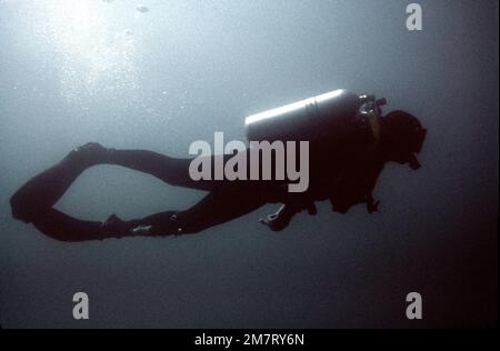 Ein Mitglied des Kampfkontrollteams taucht während eines Wassertrainings. Das Teammitglied ist vom 63. Militärischen Luftschiff-Flügel. Basis: Anacapa Island Bundesstaat: Kalifornien (CA) Land: Vereinigte Staaten von Amerika (USA) Stockfoto