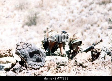 Ein Marine von 1. Mrd., 3. Marines, 3. März Div., Fleet Marine Force benutzt ein Night Observation Device (NOD), um von seinem Observationsposten aus den Berg hinunter zu blicken. Das Bataillon durchläuft eine Kampfbereitschaft-Bewertung im pakalulanischen Trainingsgebiet. Bundesstaat: Hawaii (HI) Land: Vereinigte Staaten von Amerika (USA) Stockfoto