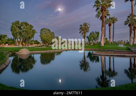 Malerischer abendlicher Blick auf den Golfplatz mit Palmen und Reflexion auf dem Teich. Stockfoto