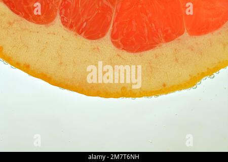 Nahaufnahme der roten Grapefruitscheibe im Wasserhintergrund. Konsistenz des kühlenden Fruchtgetränks mit Makroblasen an der Glaswand. Flaches Design.