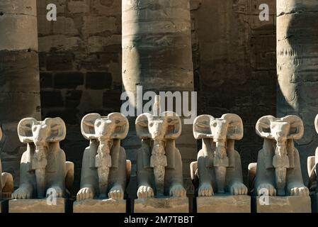 Am Eingang zum Tempel von Karnak die Avenue der Sphinxen, Statuen mit dem Kopf eines RAM und dem Körper eines Löwen, alte ägyptische Ikonen und Symbole Stockfoto