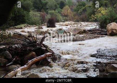 Santa Barbara, Kalifornien, USA 10. Januar 2023. Bäume, Felsen und rauschendes Wasser: Ein Schild auf einem Felsen sagt „langsam“, obwohl der sich bewegende Fluss alles andere als das ist. Dieses normalerweise trockene Flussbett ist am 10. Januar 2023 zu einem tosenden Bach geworden, nachdem die Flutkatastrophe durch den Los Padres National Forest in Santa Barbara auf der Rancho Oso Horse Ranch und dem Campingplatz gerissen wurde. Die Gegend ist den Chumash-Indianern heilig, die das Gebiet für ihre Grabstätten und Zeremonien nutzen. Filmstars wie Charlie Chaplin besuchten die Ranch zu Beginn des letzten Jahrhunderts. (Kredit: Ima Stockfoto