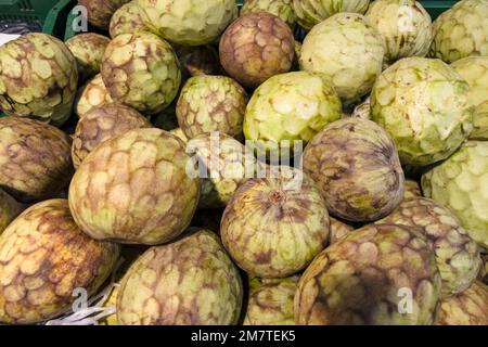 Frisches Obst auf dem Regal des Supermarkts. Cherimoya, annona cherimoya, konische essbare Früchte Stockfoto