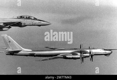 Eine Air-to-Air-Seitenansicht eines sowjetischen TU-95 Tupolev-Flugzeugs und eines US-Flugzeugs Navy F-14A Tomcat-Flugzeug, oben. Die F-14A stammt aus dem Kampfgeschwader 211 (VF-211) und ist an Bord des Flugzeugträgers USS CONSTELLATION (CV-64). Die NATO-Bezeichnung der TU-95 ist Bear. Land: Westlicher Pazifik Stockfoto