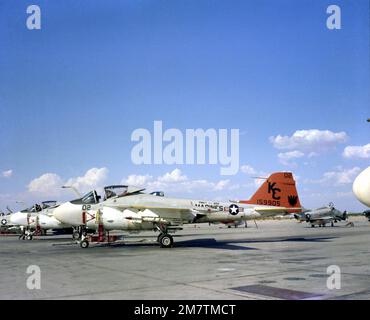 Linke Seitenansicht eines Marine-A-6E-Intruderflugzeugs, das auf der Fluglinie des Marine All-Weather Attack Training Squadron 202 sitzt. Dahinter befinden sich verschiedene andere Flugzeugtypen. Basis: Marine Air Station, Whiting Field State: Florida (FL) Land: Vereinigte Staaten von Amerika (USA) Stockfoto