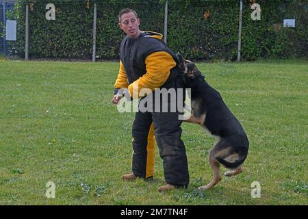 Das 100. Sicherheitsgeschwader veranstaltete am 13. Mai 2022 in der Royal Air Force Mildenhall in England einen Working Dog-Wettbewerb. Der MWD-Wettbewerb fand in Anerkennung der National Police Week statt, einer Zeit, um denjenigen zu gedenken, die ihr Leben in Ausübung ihrer Pflicht opferten. (USA Air Force Tech. Sgt. Mackenzie Mendez) Stockfoto