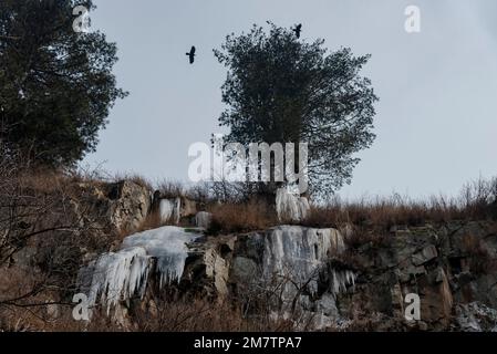 Ein Blick auf gefrorenes Wasser unter Bäumen in der Nähe des Aharbal-Wasserfalls während eines kalten bewölkten Tages in Kulgam. Das Wasser des Flusses Veshu bildet einen der majestätischsten Wasserfälle, bekannt als Aharbal- oder Niagarafälle von Kaschmir. Die Wasserfälle haben eine malerische Umgebung mit dicken Tannenwäldern, die sich im Süden von Srinagar befinden. Es ist eines der besten Touristenziele im Kaschmirtal. Stockfoto