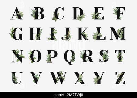 Botanische Hauptstadt Alphabet Sammlung Vektor Stock Vektor