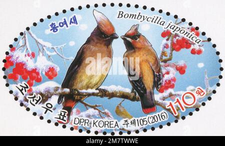 2016 Nordkorea ovaler Stempelsatz. Vögel. Japanischer Wachsfiguren Bombycilla japonica Stockfoto