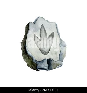 Dinosaurier-Fossil auf grauem Stein. Prädeator Paw in Stein. Realistische archäologische Aquarelldarstellung. Stockfoto