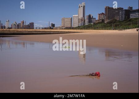 Die südafrikanische Stadt Durban im Indischen Ozean in KwaZulu Natal ist sowohl ein Touristenzentrum als auch ein wichtiger Hafen für den Export und Import von Waren Stockfoto