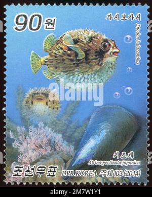 2014 Nordkorea Stempelset Marine Life - Fisch und Schalentiere. Diodon Holocanthus und Atrina pectinata Stockfoto