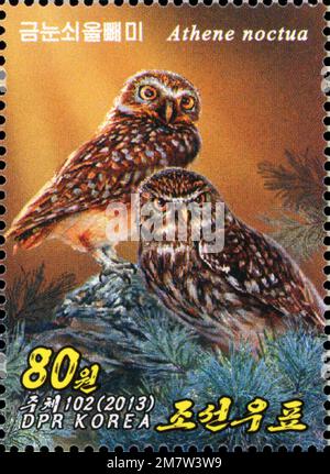 2013 Nordkorea Briefmarke mit einem Paar Eulen (Athene noctua), auch bekannt als die Eulen von Athena oder Minerva. Stockfoto