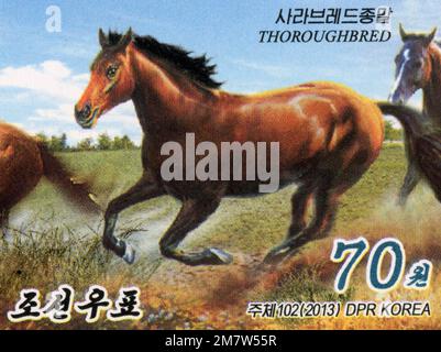 Nordkoreanische Briefmarke von 2013 mit einem galoppierenden Vollblutpferd, Teil einer Haustierserie, 70 Won-Wertung. Stockfoto