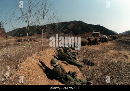 Mitglieder der Kompanie C, 1. Bataillon, 35. Infanterie, 25. Infatry Division, stellen sich am Rande eines Reisladens auf, um sich während DES GEMEINSAMEN TRAININGSTEAMS VON Südkorea und den USA IM SPIRIT '82 den "Gegnern" zu stellen. Betreff Operation/Serie: TEAMGEIST '82 Basis: Chukpaw Land: Republik Korea (ROK) Stockfoto