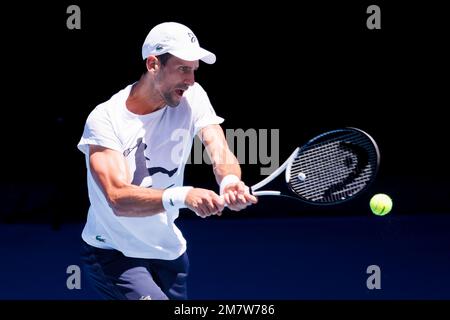 Melbourne, Australien. 11. Januar 2023. Novak Djokovic übt in der Rod Laver Arena vor den Australian Open 2023 in Melbourne, Australien. Sydney Low/Cal Sport Media/Alamy Live News Stockfoto