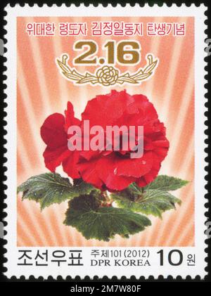 2012 Nordkorea-Stempel. Kim Jong Il zum 70. Geburtstag. Kimjongilia-Blume, Stockfoto